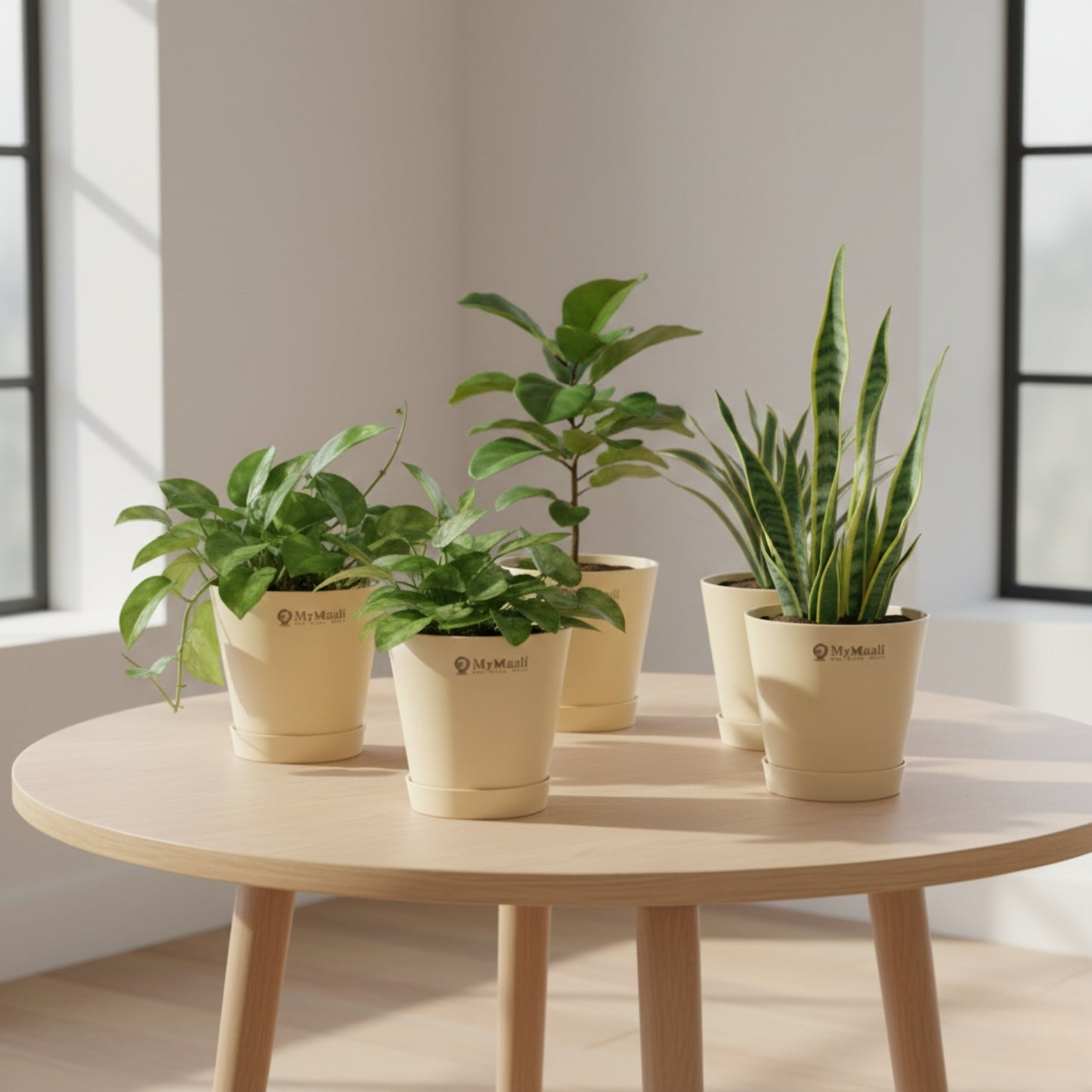 Round Plastic Planter with Tray