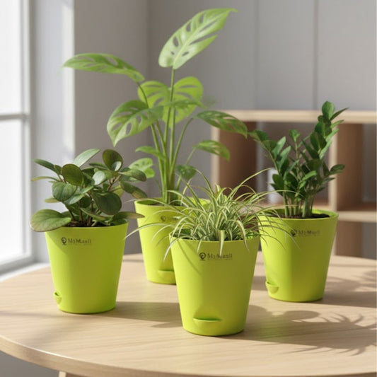 Trending Planter Designs for Modern Homes (2026)