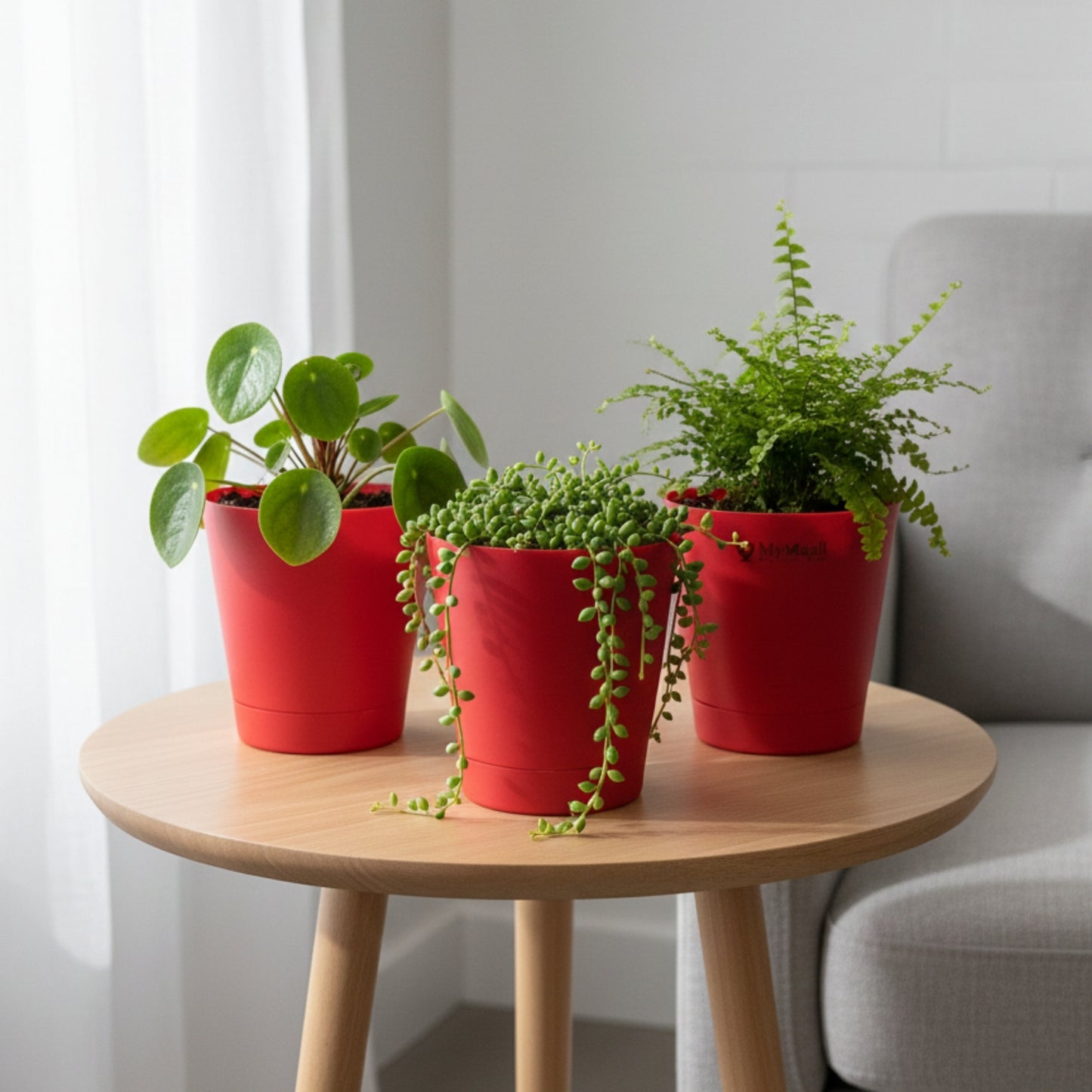Round Plastic Planter with Tray