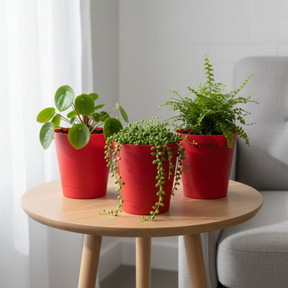 Round Plastic Planter with Tray