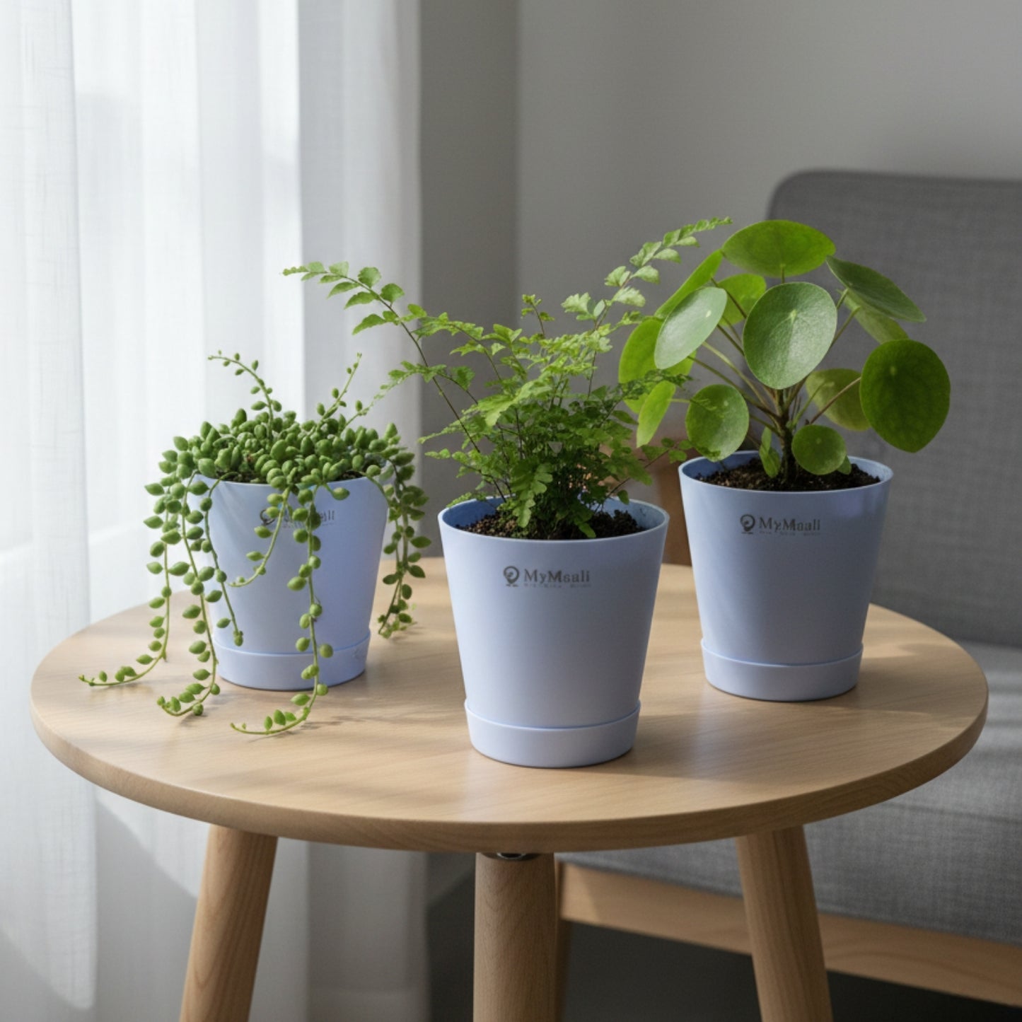 Round Plastic Planter with Tray