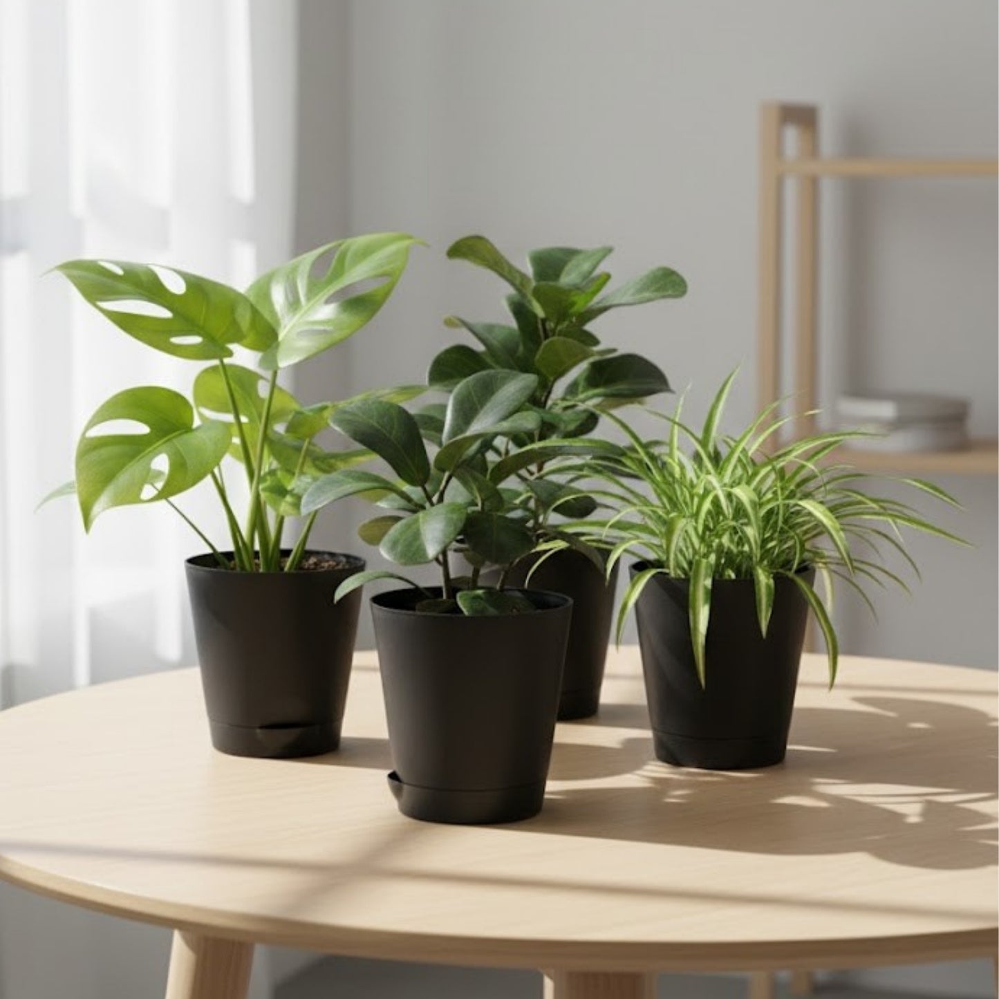 Round Plastic Planter with Tray