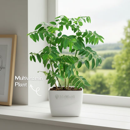 Multivitamin  Plant