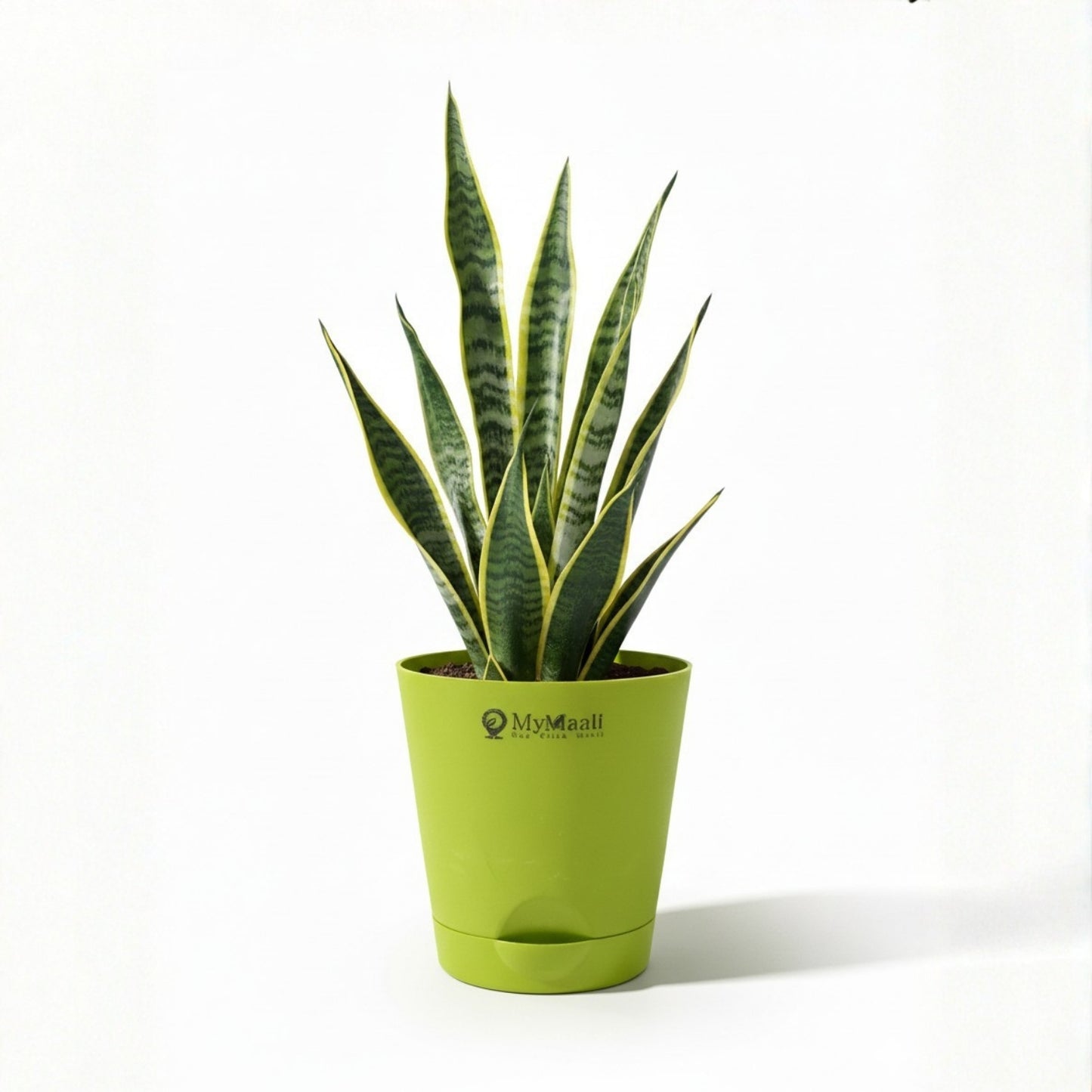 Round Plastic Planter with Tray