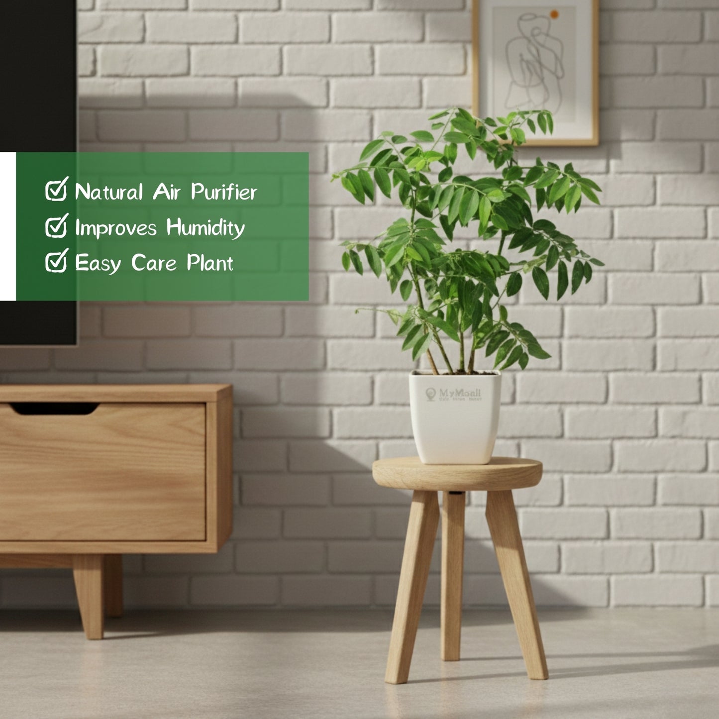 Multivitamin  Plant