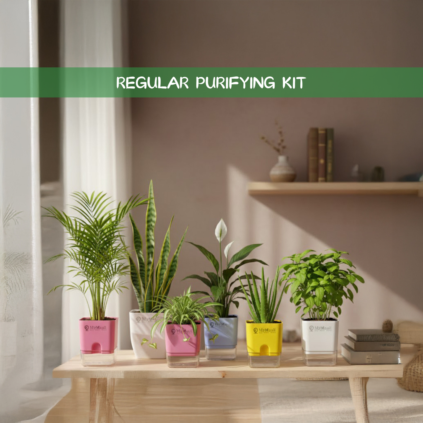 Regular Purifying Kit