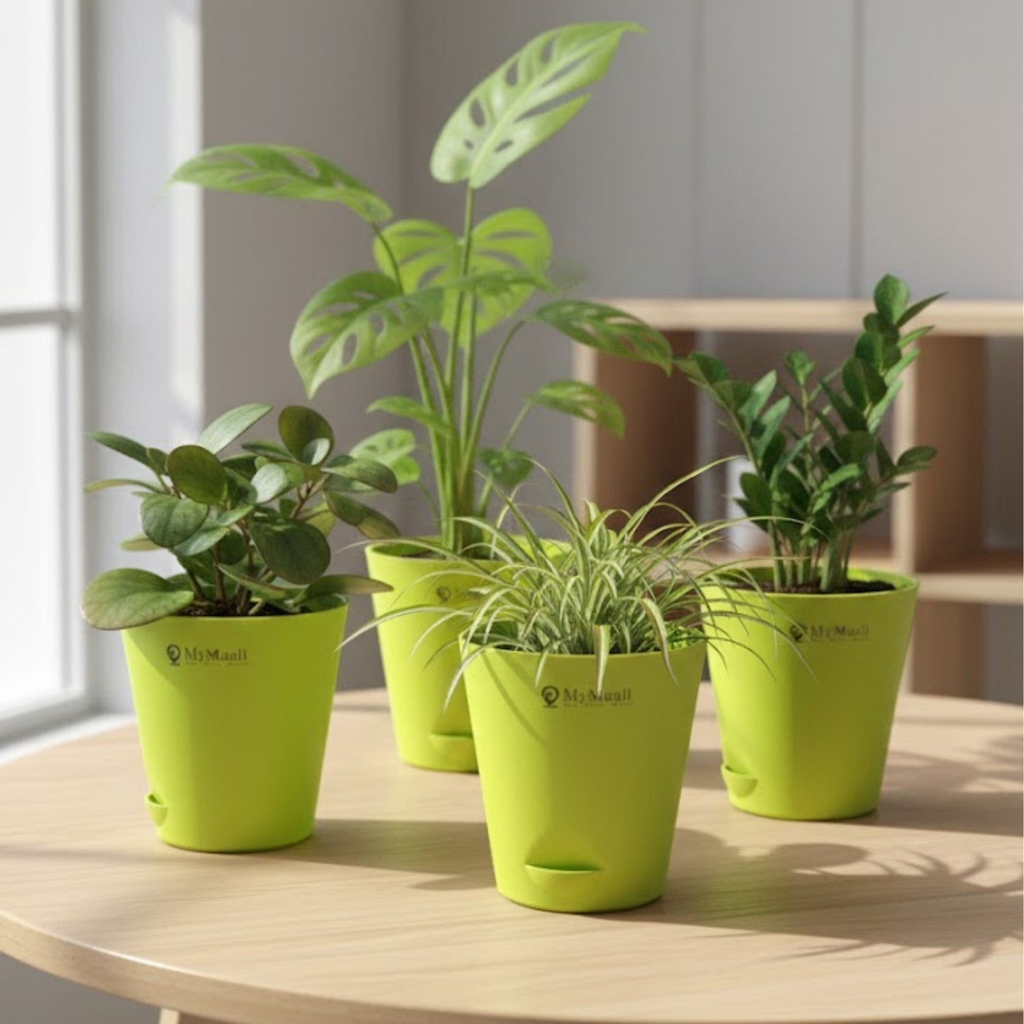 Round Plastic Planter with Tray