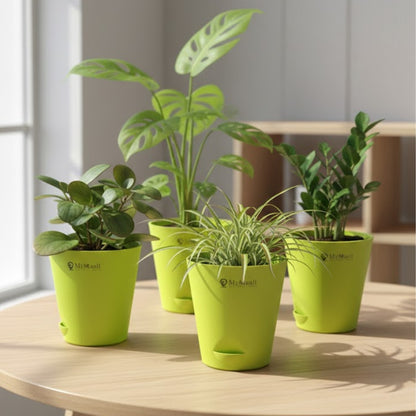 Round Plastic Planter with Tray