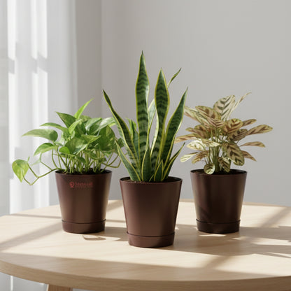 Round Plastic Planter with Tray