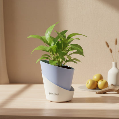 Slant Edge Plastic Planter (Dual-Tone)