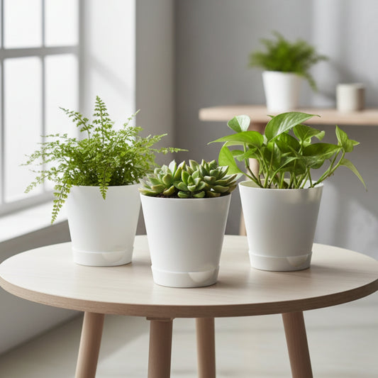 Round Plastic Planter with Tray