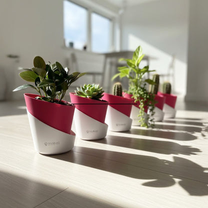 Slant Edge Plastic Planter (Dual-Tone)