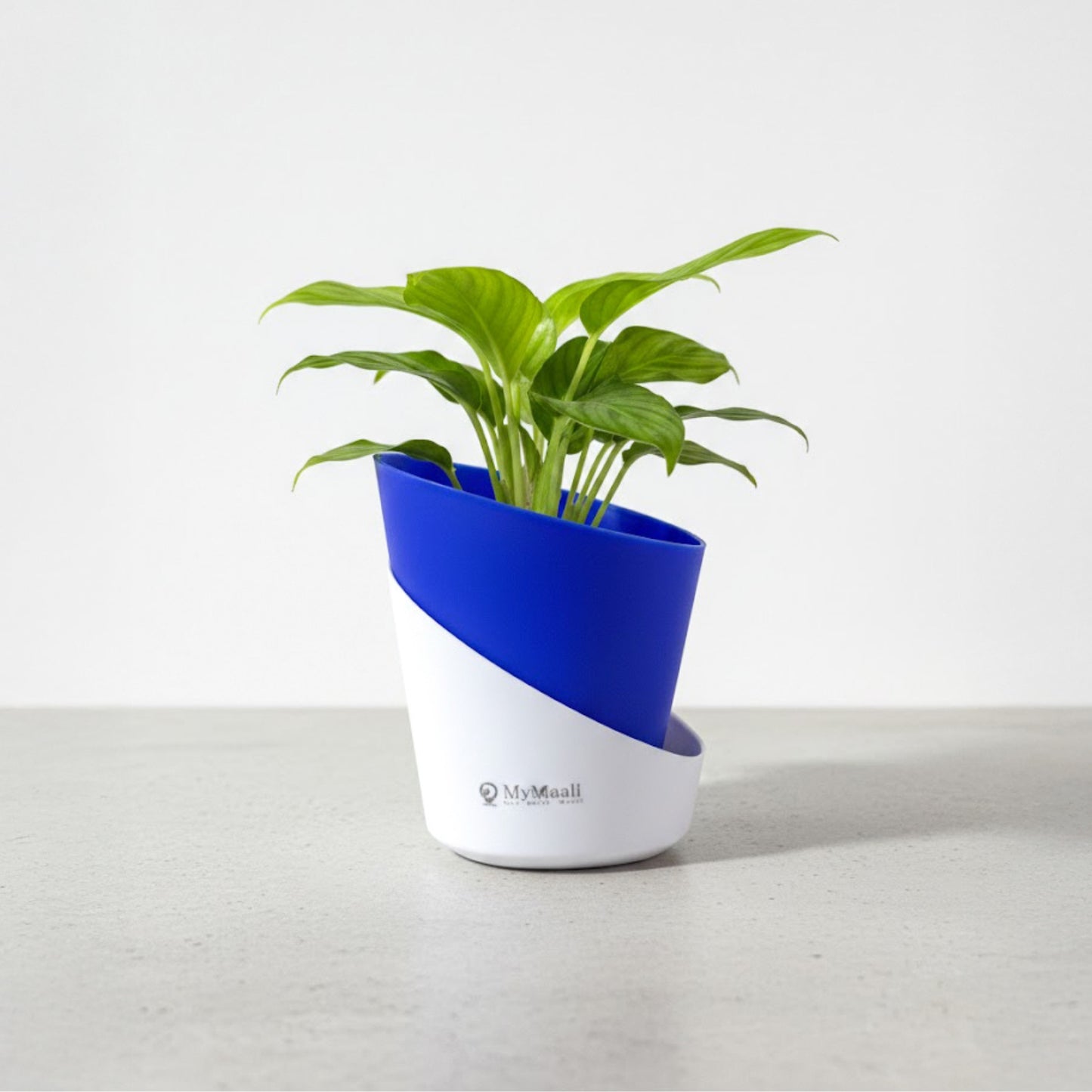 Slant Edge Plastic Planter (Dual-Tone)