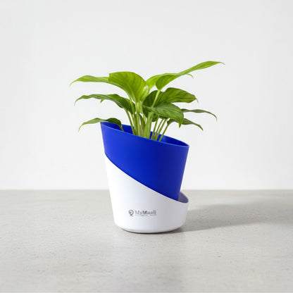 Slant Edge Plastic Planter (Dual-Tone)