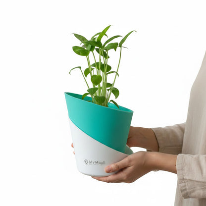 Slant Edge Plastic Planter (Dual-Tone)