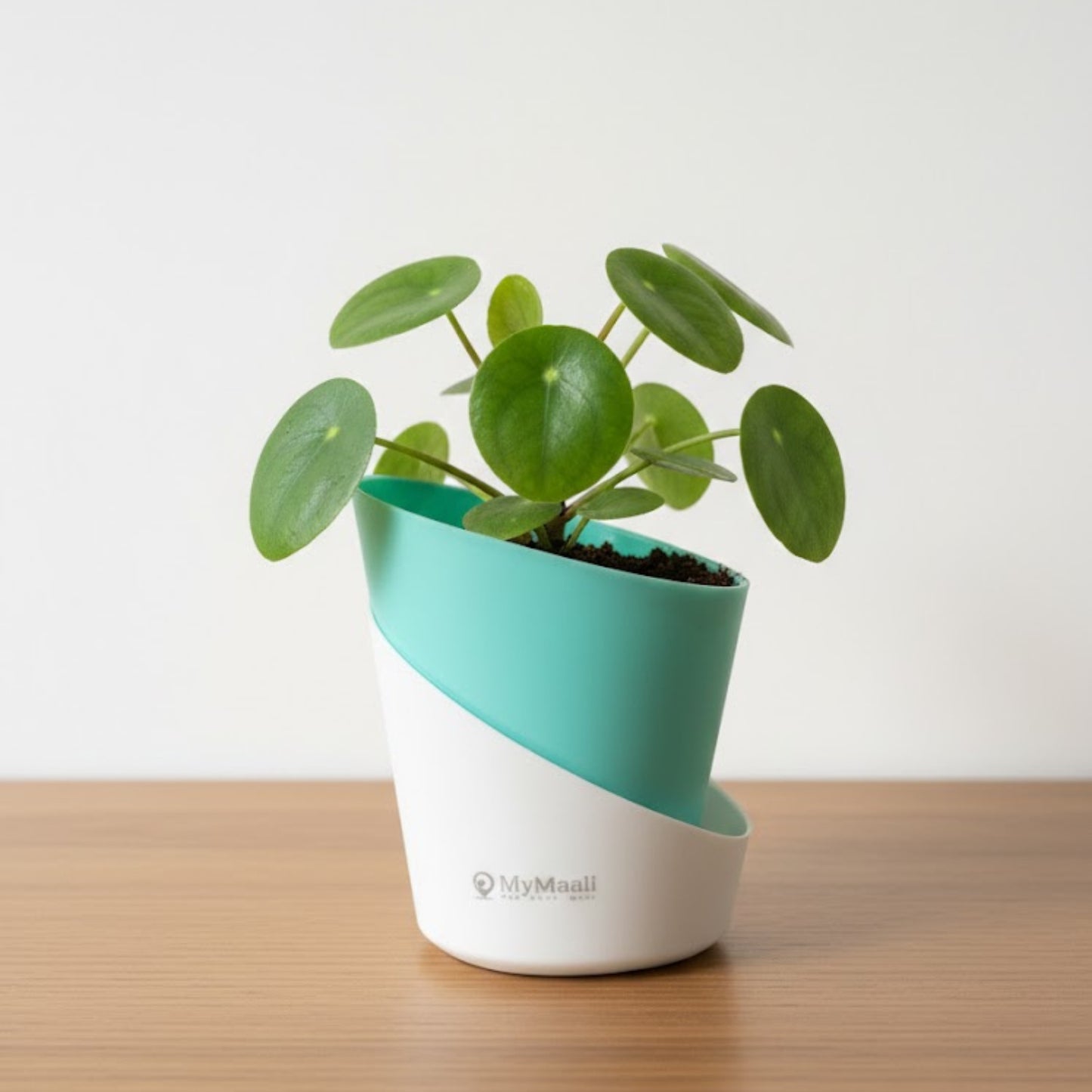 Slant Edge Plastic Planter (Dual-Tone)