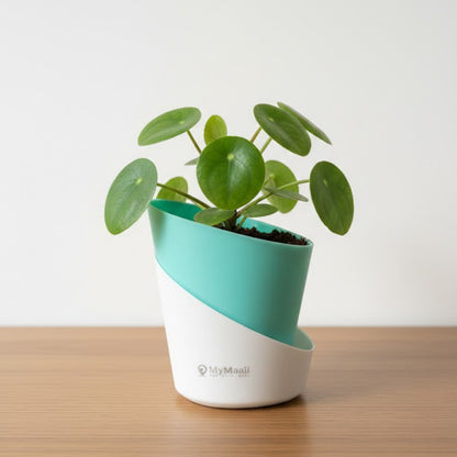 Slant Edge Plastic Planter (Dual-Tone)