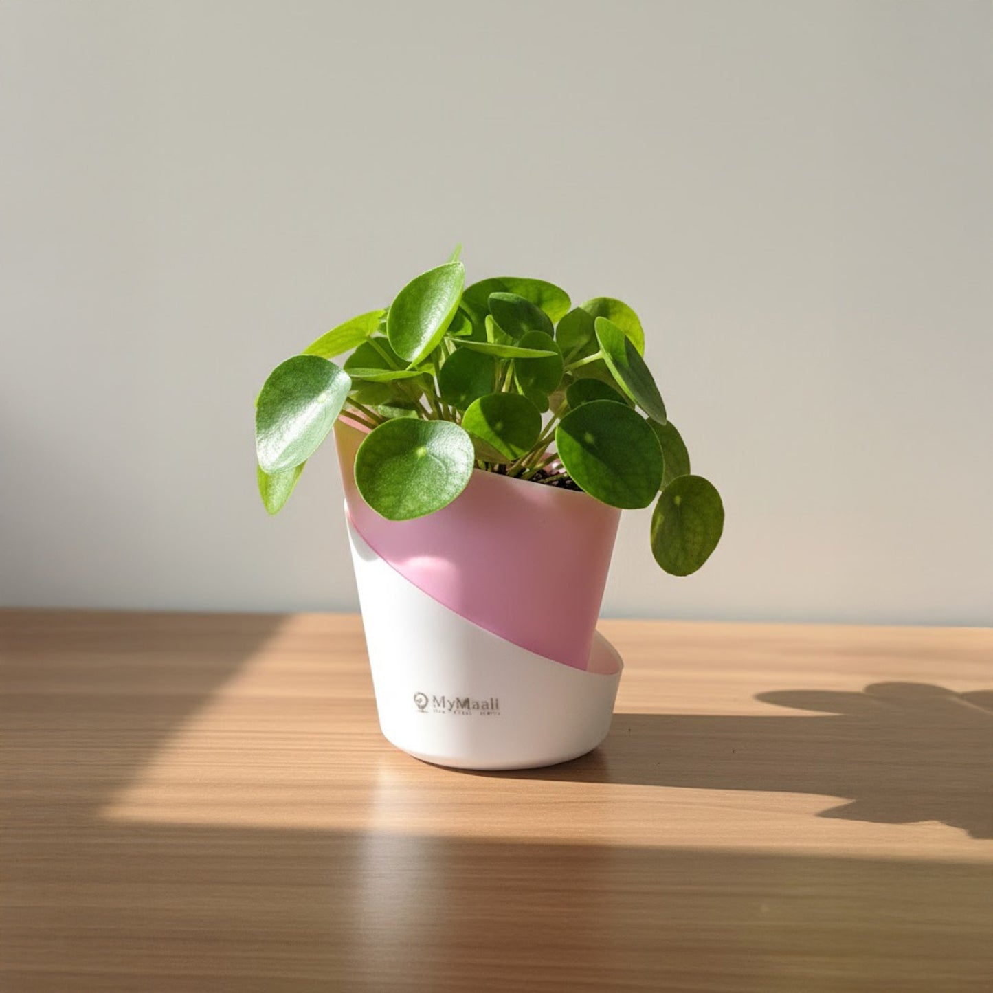 Slant Edge Plastic Planter (Dual-Tone)