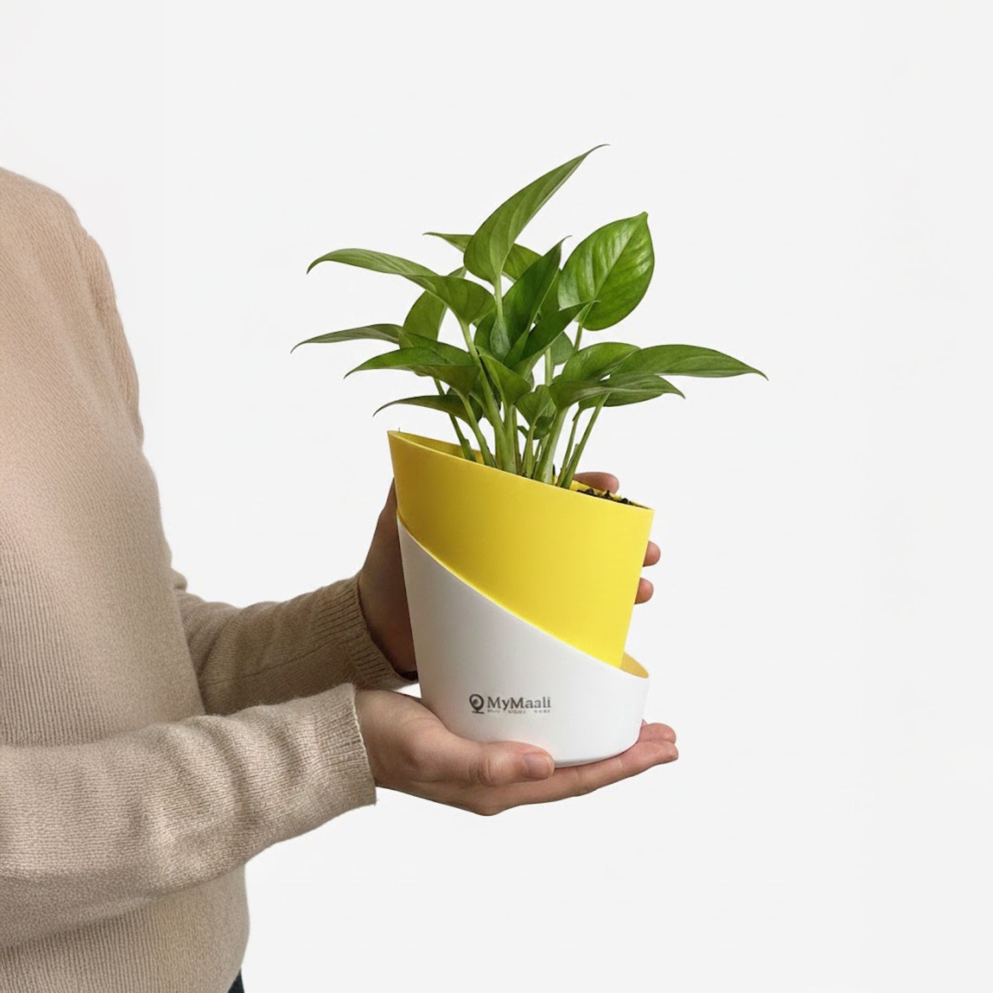 Slant Edge Plastic Planter (Dual-Tone)