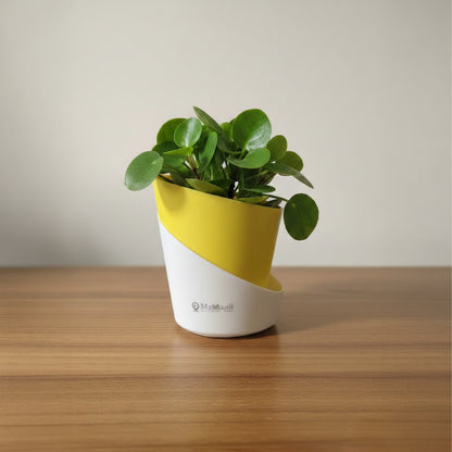 Slant Edge Plastic Planter (Dual-Tone)