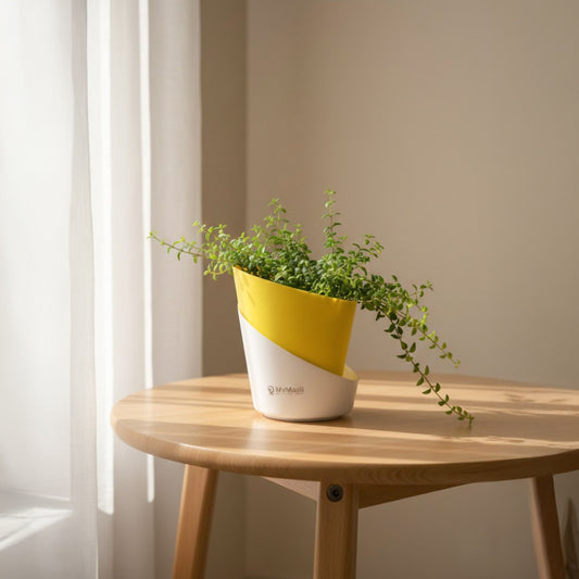 Slant Edge Plastic Planter (Dual-Tone)