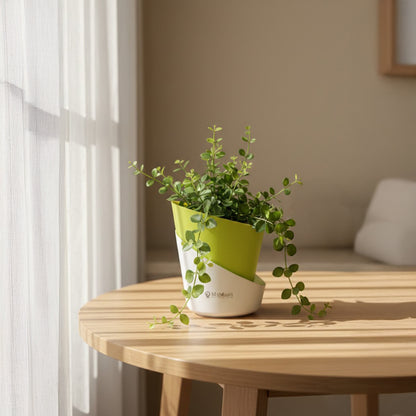 Slant Edge Plastic Planter (Dual-Tone)