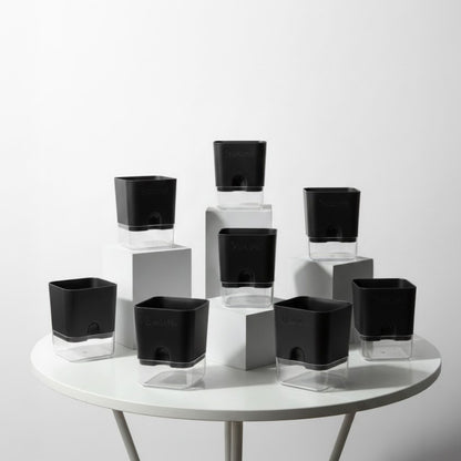 Self-Watering Square Plastic Planter with Transparent Base