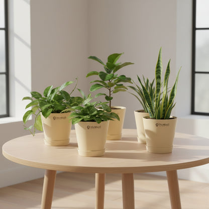 Round Plastic Planter with Tray