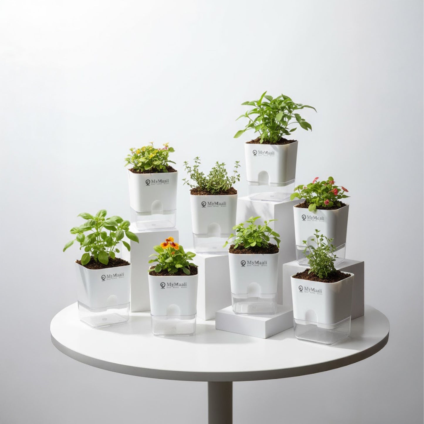 Self-Watering Square Plastic Planter with Transparent Base