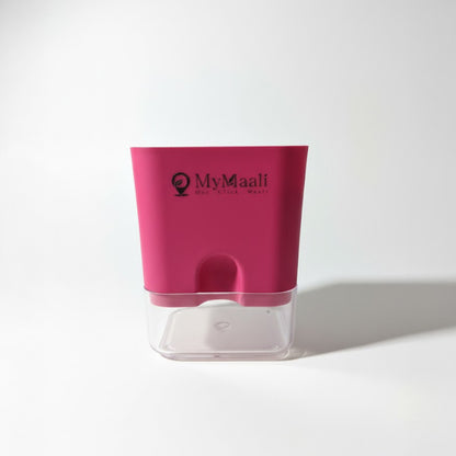 Self-Watering Square Plastic Planter with Transparent Base