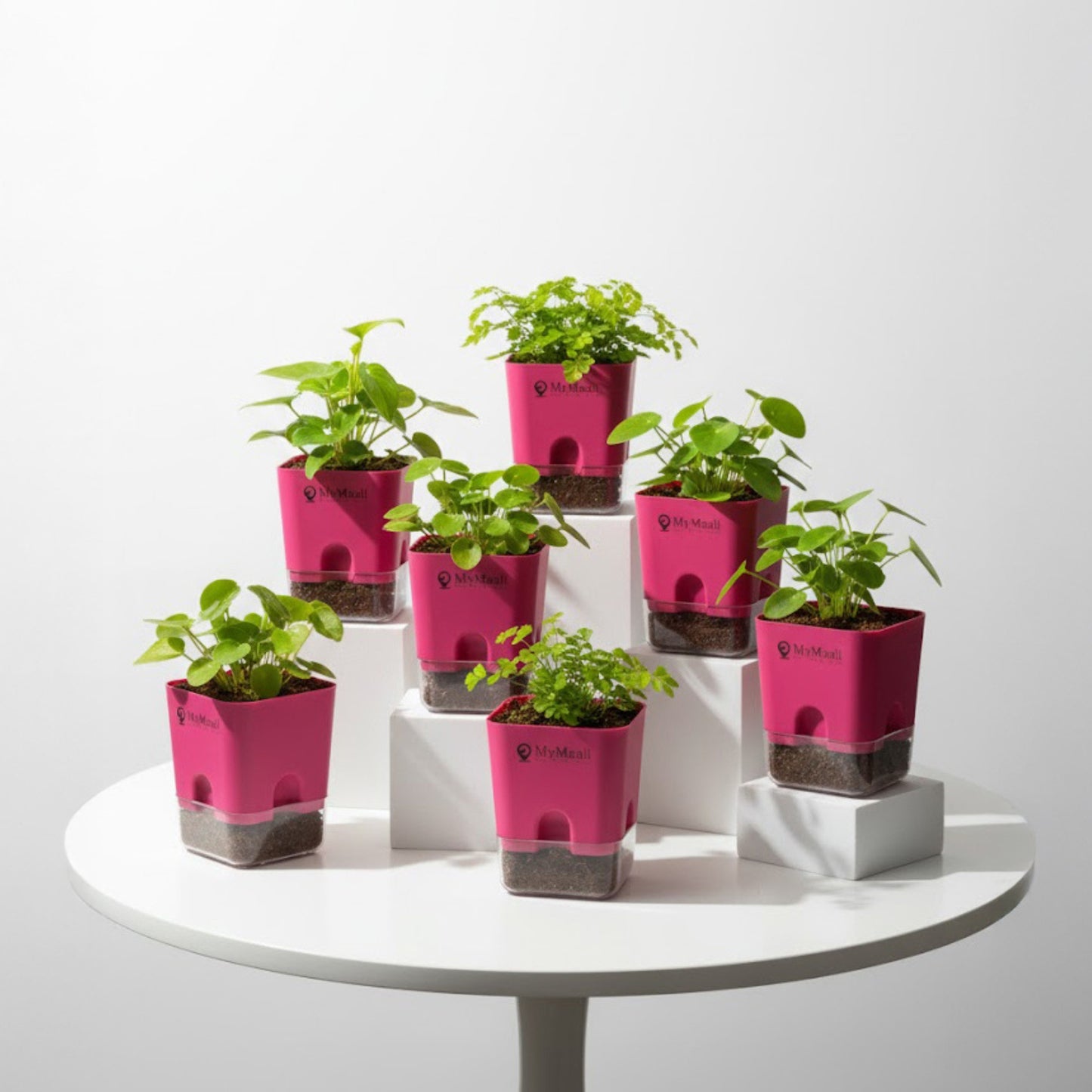 Self-Watering Square Plastic Planter with Transparent Base